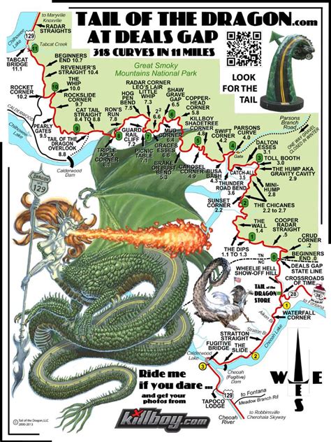 The Tail of the Dragon – A Smoky Mountain Road Trip .